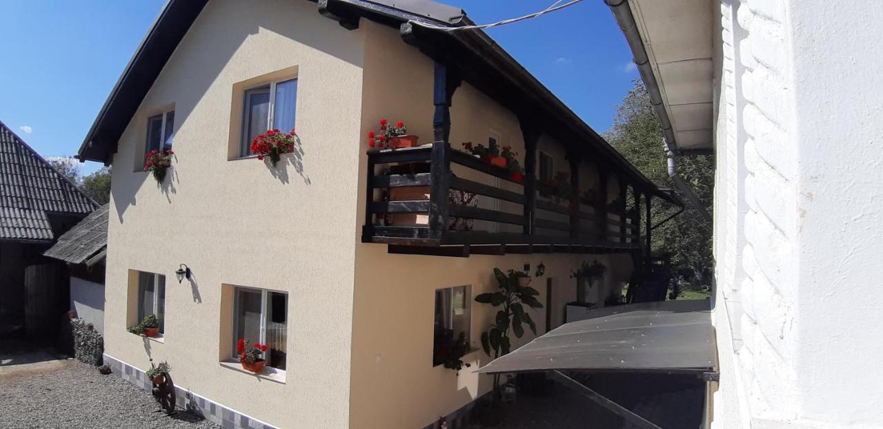 Pensiunea Casa Godja Văleni Buitenkant foto