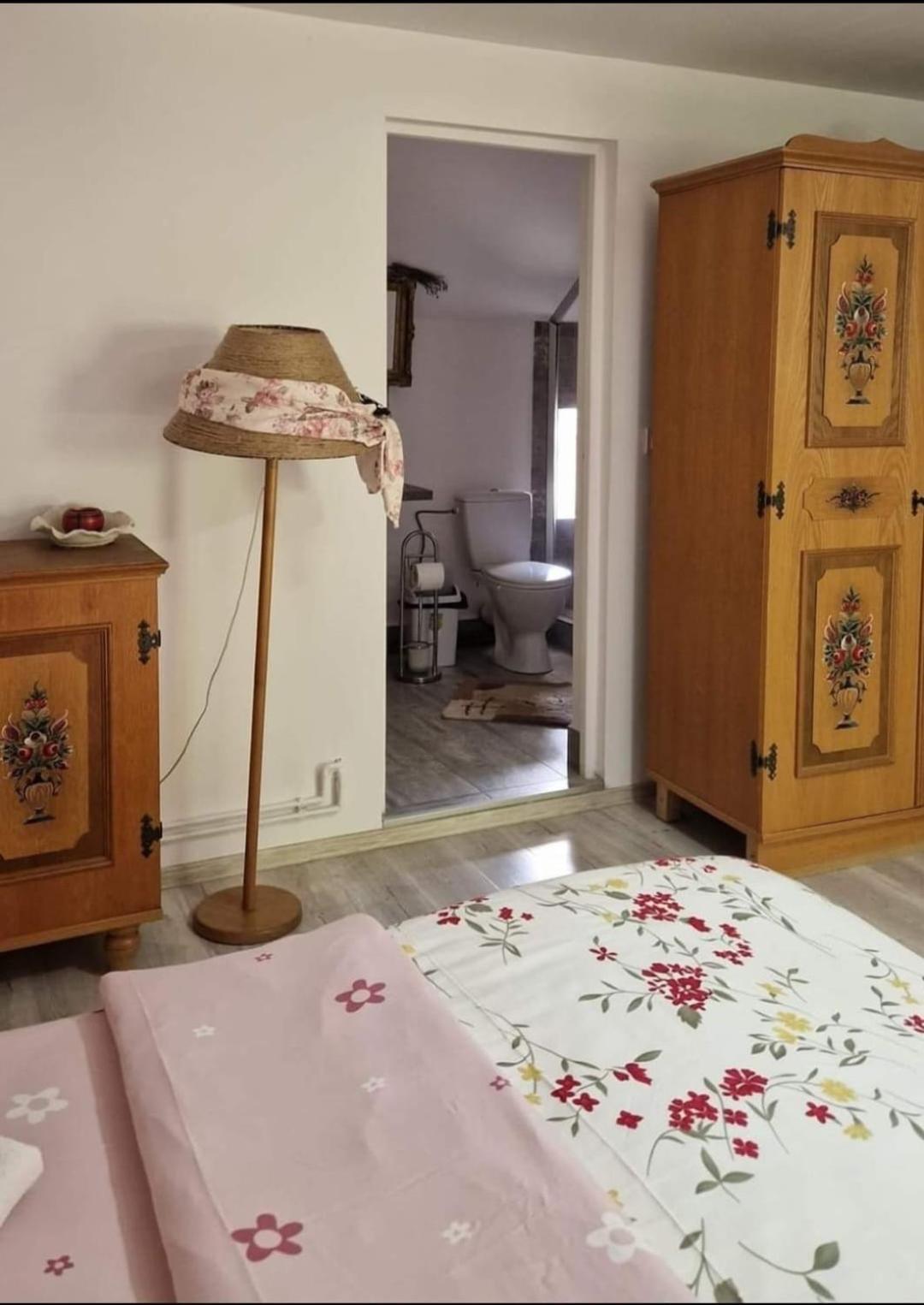 Pensiunea Casa Godja Văleni Buitenkant foto