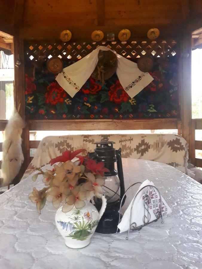 Pensiunea Casa Godja Văleni Buitenkant foto