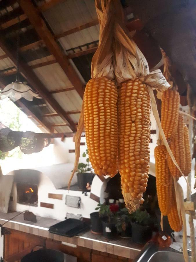 Pensiunea Casa Godja Văleni Buitenkant foto